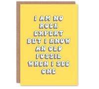Artery8 Greeting Card No Rock Expert But Know Fossil Old Age Joke For Her Woman Wife Gran Mum Sister Birthday Card