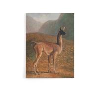 Artery8 Guanaco Llama in Mountain Landscape Agasse Canvas Wall Art | Size: W18" x H24" Artery8 Multicolor W18" x H24"
