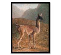 Artery8 Guanaco Llama in Mountain Landscape Agasse Framed Wall Art Print | Size: A3 Artery8 Multicolor A3