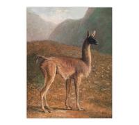 Artery8 Guanaco Llama in Mountain Landscape Agasse Wall Art Poster Print | Size: W12" x H16" Artery8 Multicolor W12" x H16"