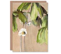 Artery8 Hannah Borger Overbeck Art Card May Apple Flower Watercolour in Beige Artery8 Beige
