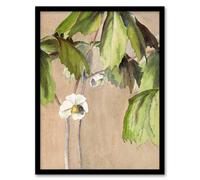 Artery8 Hannah Borger Overbeck Framed Wall Art May Apple Flower Watercolour in Beige | Size: A3 Artery8 Beige A3