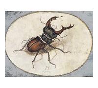 Artery8 Hans Hoffmann Beetle Insect Painting Large Wall Art Poster Print Thick Paper 18X24 Inch