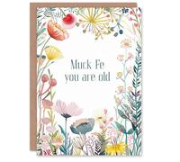 Artery8 Happy Flowers Muck Fe You Are Old Word Play For Her Woman Wife Gran Mum Sister Birthday Greeting Card