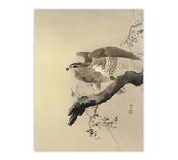 Artery8 Hawk Bird of Prey on Tree Branch Retro Japan Wall Art Print Koson in Beige | Size: W24" x H32" Artery8 Beige W24" x H32"