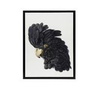 Artery8 Head of a Black Cockatoo Watercolour Schouman Framed Canvas Wall Art in White | Size: W12" x H16" Artery8 White W12" x H16"