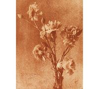 Artery8 Heinrich Kuhn Still Life With Carnations Photo Premium Wall Art Canvas Print 18X24 Inch