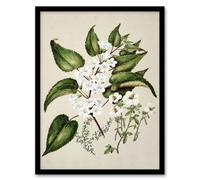 Artery8 Hibiscus And Saltmarsh Ribbonwood Flowers Featon Framed Wall Art Print 12X16"