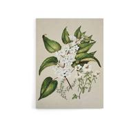 Artery8 Hibiscus & Saltmarsh Ribbonwood Flowers Featon Canvas Wall Art Print in Beige | Size: W24" x H32" Artery8 Beige W24" x H32"