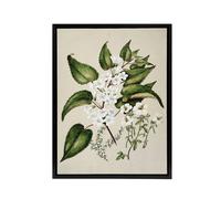 Artery8 Hibiscus & Saltmarsh Ribbonwood Flowers Featon Framed Canvas Art in Beige | Size: W12" x H16" Artery8 Beige W12" x H16"