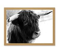 Artery8 Highland Cow Bull Horns Black White Photo A4 Artwork Framed Wall Art Print