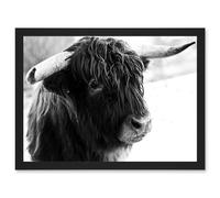 Artery8 Highland Cow Bull Horns Black White Photo A4 Artwork Framed Wall Art Print Artery8 Black