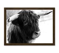 Artery8 Highland Cow Bull Horns Black White Photo A4 Artwork Framed Wall Art Print