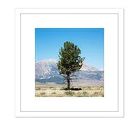 Artery8 Highsmith Lone Tree Yosemite Landscape Photo 8X8 Inch Square Wooden Framed Wall Art Print Picture with Mount in White Artery8 White