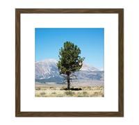 Artery8 Highsmith Lone Tree Yosemite Landscape Photo 8X8 Inch Square Wooden Framed Wall Art Print Picture with Mount in Brown Artery8 Brown