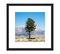 Artery8 Highsmith Lone Tree Yosemite Landscape Photo 8X8 Inch Square Wooden Framed Wall Art Print Picture with Mount in Black Artery8 Black