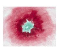Artery8 Hilma Af Klint Untitled 1920 Abstract Painting Large Wall Art Poster Print Thick Paper 18X24 Inch