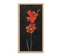 Artery8 Hoffmann Lily Red Flowers Nature Painting Framed Wall Art Print Long 25X12 Inch