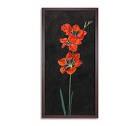 Artery8 Hoffmann Lily Red Flowers Nature Painting Framed Wall Art Print Long 25X12 Inch