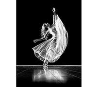 Artery8 Hofmann Ballerina Tarchick Dancing Ballet photo Art Print Canvas Premium Wall Decor Poster Mural