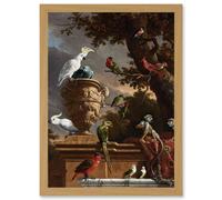 Artery8 Hondecoeter Menagerie Exotic Birds Parrots Painting Artwork Framed Wall Art Print A4