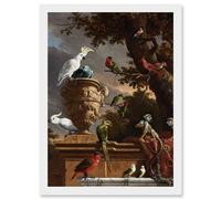Hondecoeter Menagerie Exotic Birds Parrots Painting Artwork Framed Wall Art Print A4 Artery8 White One Size