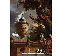 Artery8 Hondecoeter Menagerie Exotic Birds Parrots Painting Large XL Wall Art Canvas Print