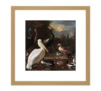 Artery8 Hondecoeter Pelican Birds Pool Floating Feather 8X8 Inch Square Wooden Framed Wall Art Print Picture with Mount in Light Oak Artery8 Light Oak