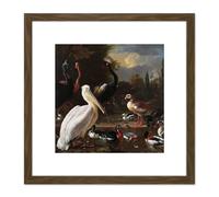 Artery8 Hondecoeter Pelican Birds Pool Floating Feather 8X8 Inch Square Wooden Framed Wall Art Print Picture with Mount in Brown Artery8 Brown