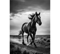Artery8 Horse Galloping Desert Landscape Black and White Large Wall Art Poster Print Thick Paper 18X24 Inch