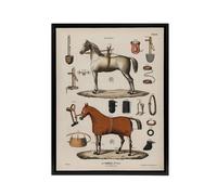 Artery8 Horseback Riding Camille Jeune Vintage Black Framed Canvas Wall Art in Beige | Size: W24" x H32" Artery8 Beige W24" x H32"