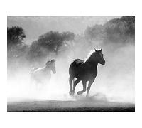 Artery8 Horses Running Mist Black White Unframed Wall Art Print Poster Home Decor Premium
