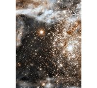 Artery8 Hubble Space Telescope Image 30 Doradus Nebula In Infrared Starbirth Region Globular Cluster In The Large Magellanic Cloud Galaxy Extra Large XL Wall Art Poster Print