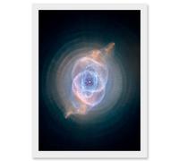 Artery8 Hubble Space Telescope Image Cat's Eye Planetary Nebula Dying Star Sculpture Gas Dust Spherical Mass Pulse Ejections Bright Bull's Eye Artery8 White A4