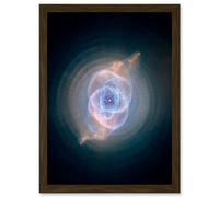 Artery8 Hubble Space Telescope Image Cat's Eye Planetary Nebula Dying Star Sculpture Gas Dust Spherical Mass Pulse Ejections Bright Bull's Eye Artery8 Brown W12" x H16"