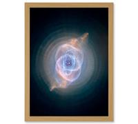 Artery8 Hubble Space Telescope Image Cat's Eye Planetary Nebula Dying Star Sculpture Gas Dust Spherical Mass Pulse Ejections Bright Bull's Eye Artery8 Beige A4