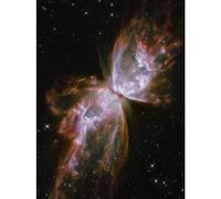 Artery8 Hubble Space Telescope Image Celestial Butterfly Emerges From Stellar Demise In Planetary Nebula NGC 6302 Red Glow Dying Star In Milky Way Galaxy Art Print Canvas Premium Wall Decor Poster