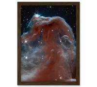 Artery8 Hubble Space Telescope Image Horsehead Nebula In Orion Constellation Star Birthing Ethereal Formation Rising From Interstellar Clouds Art Artery8 Brown W12" x H16"