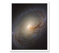 Artery8 Hubble Space Telescope Image NGC 3368 Orange Blue Galaxy Also Known As Messier 96 Starbirth Occurring Along Dark Dust Gas Filaments Spiral Artery8 White A4