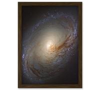 Artery8 Hubble Space Telescope Image NGC 3368 Orange Blue Galaxy Also Known As Messier 96 Starbirth Occurring Along Dark Dust Gas Filaments Spiral Artery8 Brown A4