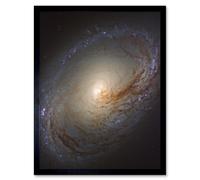 Artery8 Hubble Space Telescope Image NGC 3368 Orange Blue Galaxy Also Known As Messier 96 Starbirth Occurring Along Dark Dust Gas Filaments Spiral Artery8 Black W12" x H16"