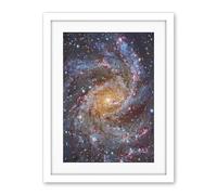 Artery8 Hubble Space Telescope Image NGC 6946 Supernova Fireworks Galaxy Subaru And Red Eclipse Star Cluster Hodge's Complex Artwork Framed Wall Art Print 18X24 Inch
