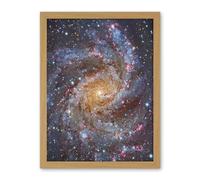 Artery8 Hubble Space Telescope Image NGC 6946 Supernova Fireworks Galaxy Subaru And Red Eclipse Star Cluster Hodge's Complex Artwork Framed Wall Art Print 18X24 Inch