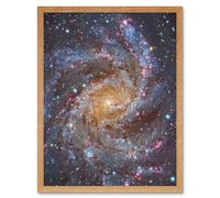 Artery8 Hubble Space Telescope Image NGC 6946 Supernova Fireworks Galaxy Subaru & Red Eclipse Star Cluster Hodge's Complex Art Print Framed Poster Artery8 Beige W12" x H16"