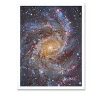 Artery8 Hubble Space Telescope Image NGC 6946 Supernova Fireworks Galaxy Subaru & Red Eclipse Star Cluster Hodge's Complex Art Print Framed Poster Artery8 White W12" x H16"