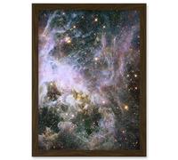 Artery8 Hubble Space Telescope Image Probes Interior Of Tarantula Nebula Near Infrared Deep View 30 Doradus Star Birth Dust Large Magellanic Cloud Artery8 Brown A4