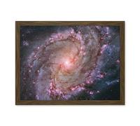 Artery8 Hubble Space Telescope Image Spiral Galaxy M83 Red Blue Purple Star Formation Southern Pinwheel Supernova Remnants And Star Clusters Artwork Framed Wall Art Print 18X24 Inch