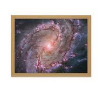 Artery8 Hubble Space Telescope Image Spiral Galaxy M83 Red Blue Purple Star Formation Southern Pinwheel Supernova Remnants And Star Clusters Artwork Framed Wall Art Print 18X24 Inch
