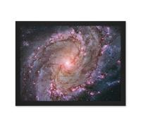Artery8 Hubble Space Telescope Image Spiral Galaxy M83 Red Blue Purple Star Formation Southern Pinwheel Supernova Remnants And Star Clusters Artwork Framed Wall Art Print 18X24 Inch