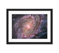 Artery8 Hubble Space Telescope Image Spiral Galaxy M83 Red Blue Purple Star Formation Southern Pinwheel Supernova Remnants And Star Clusters Artwork Framed Wall Art Print 18X24 Inch